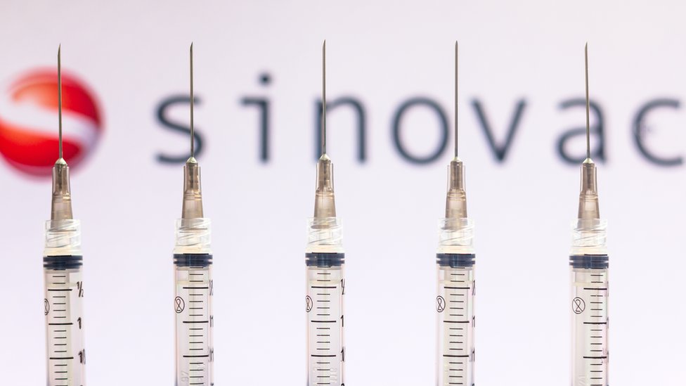 Vaksin-Sinovac Jenis Vaksin COVID 19
