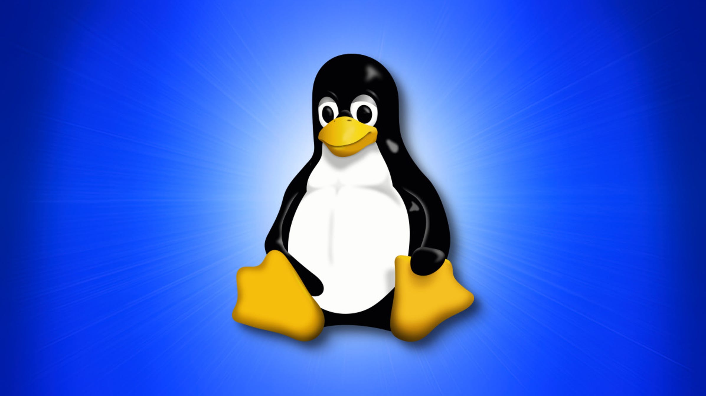 6 Contoh Linux